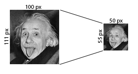 exemple-redimension-einstein